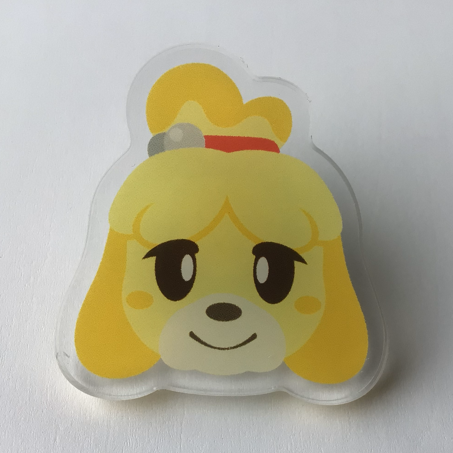 Isabelle Acrylic Pin