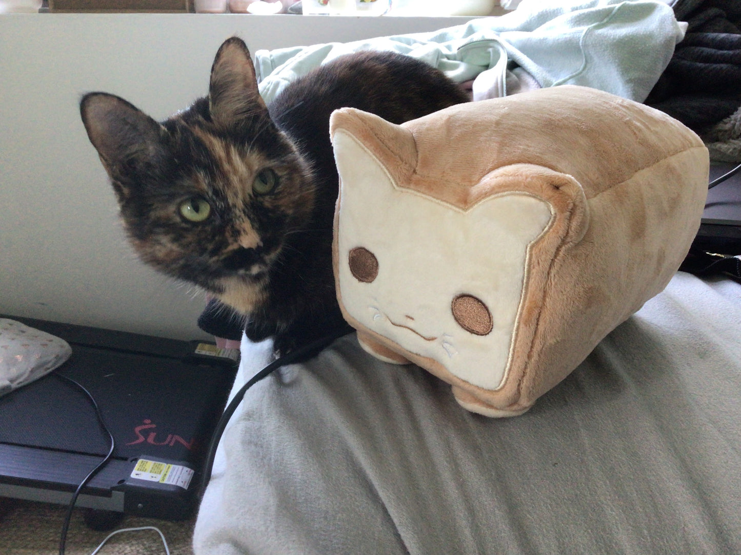 Crumble the Cat Loaf Plushie